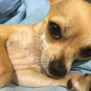 Meet your Posher, Val